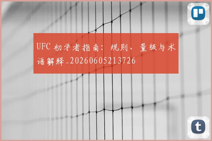 UFC 初学者指南:规则、量级与术语解释_20260605213726